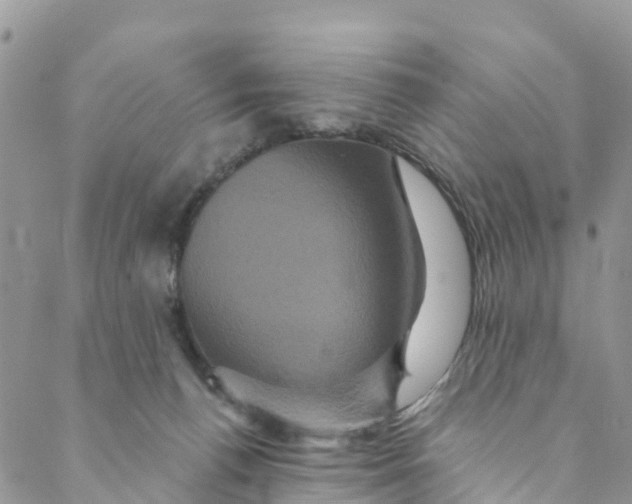 X0000088470176200706121538