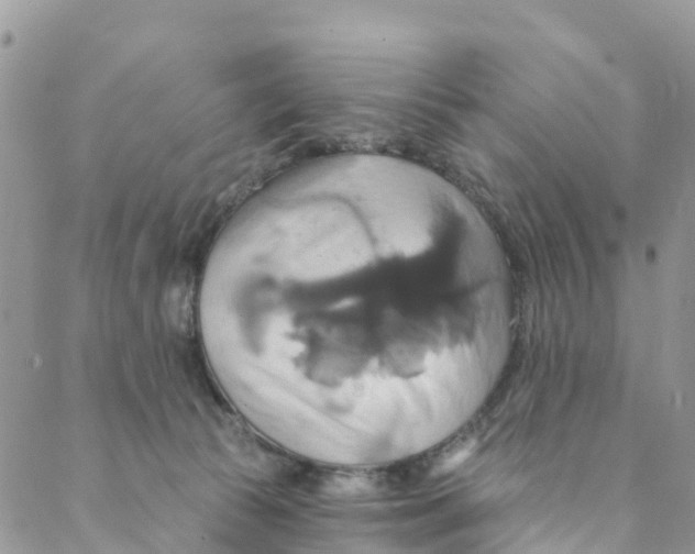 X0000088470177200706121538