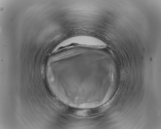 X0000088470178200706121538