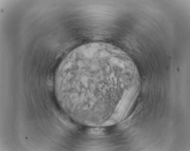 X0000088470179200706121538