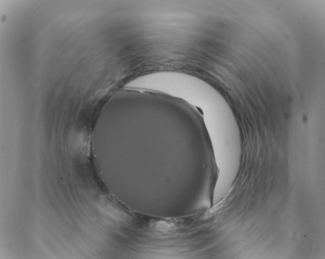 X0000088470180200706121538