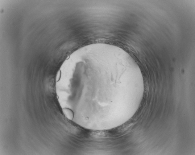 X0000088470181200706121538