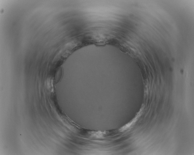 X0000088470182200706121538