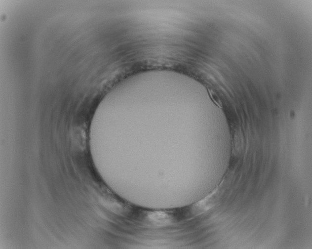 X0000088470183200706121538