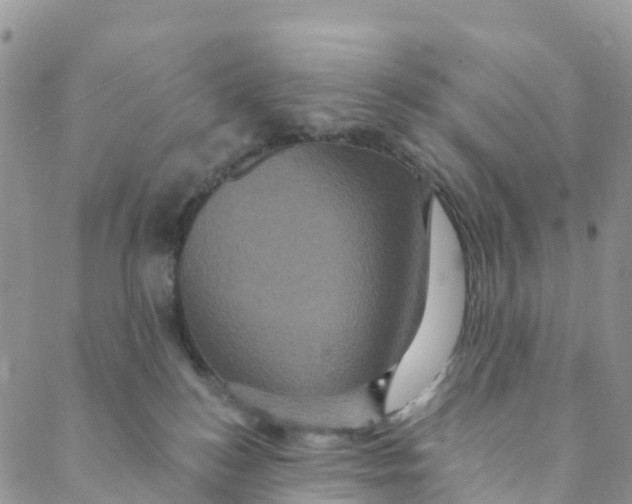 X0000088470184200706121538