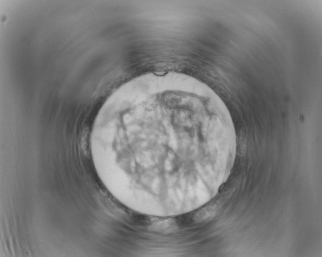 X0000088470185200706121538