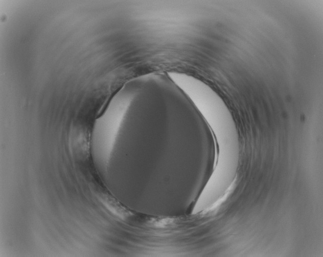 X0000088470186200706121538