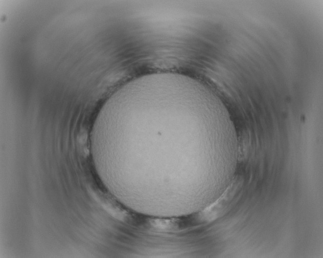 X0000088470187200706121538