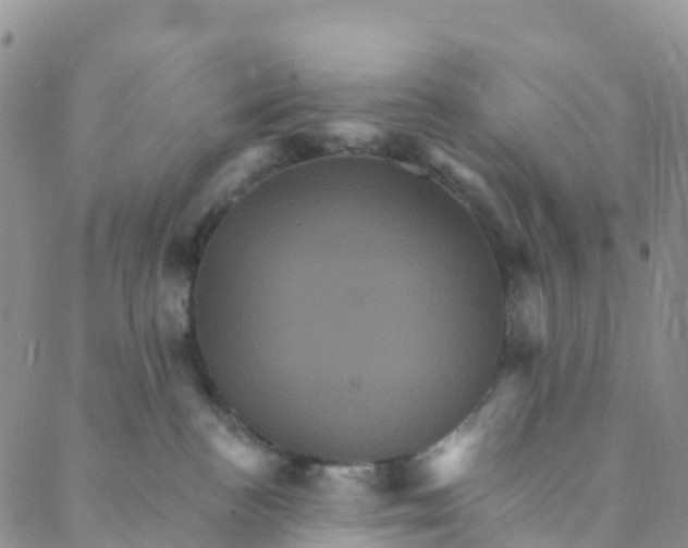 X0000088470188200706121538