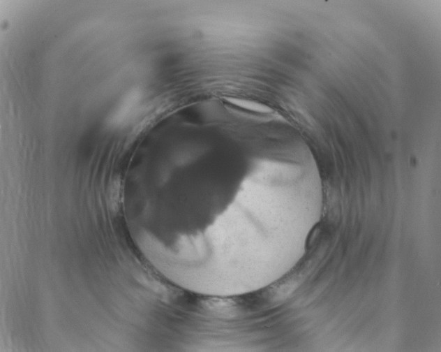 X0000088470189200706121538