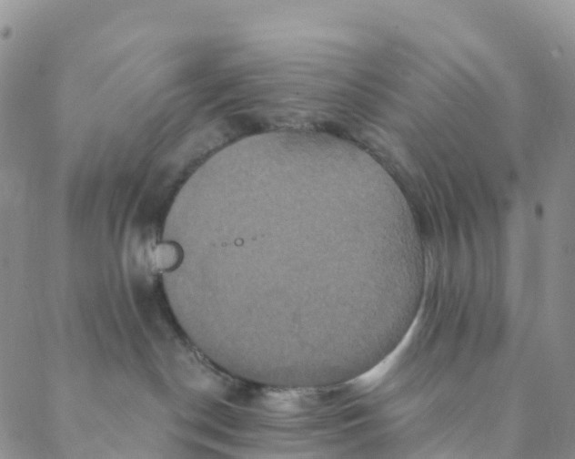 X0000088470190200706121538