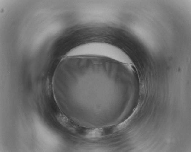 X0000088470191200706121538