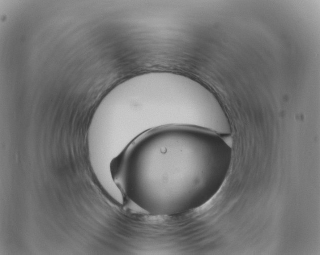 X0000088470192200706121538