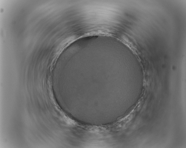 X0000088470193200706121538