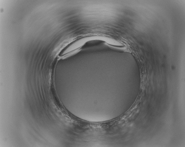 X0000088470194200706121538