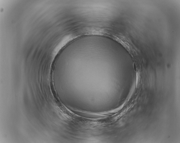 X0000088470195200706121538