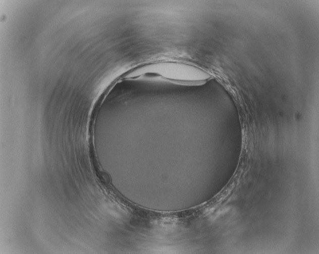 X0000088470196200706121538