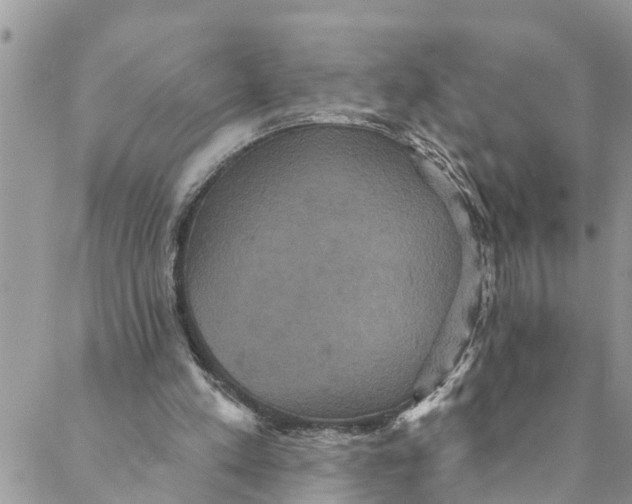 X0000088470197200706121538