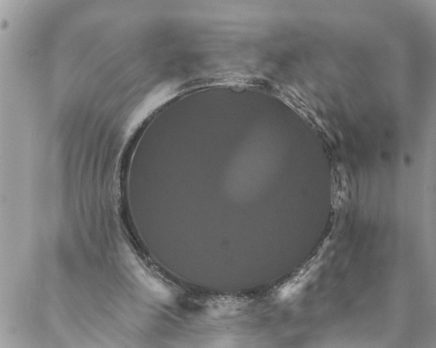 X0000088470198200706121538