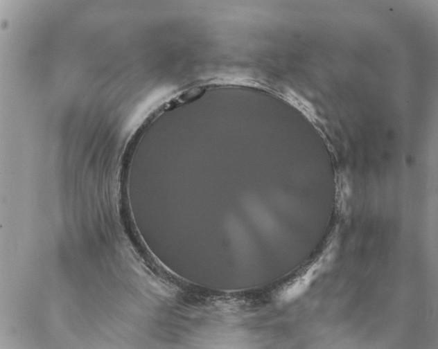 X0000088470199200706121538