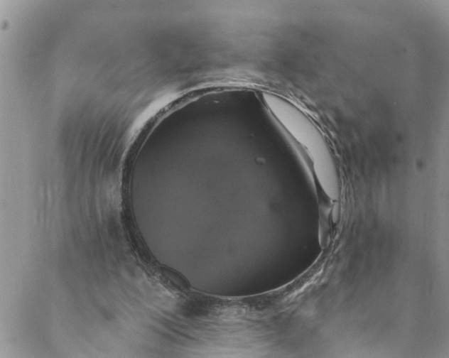 X0000088470200200706121538