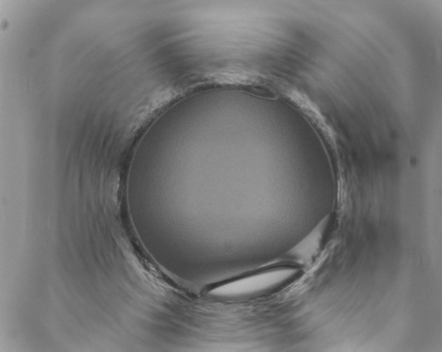 X0000088470201200706121538