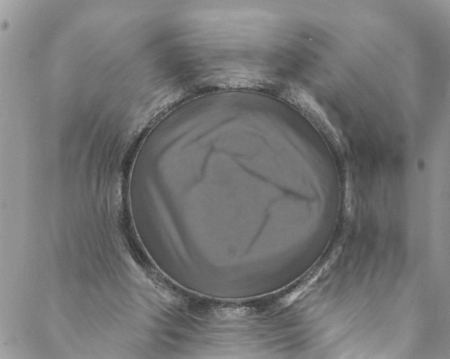 X0000088470202200706121538