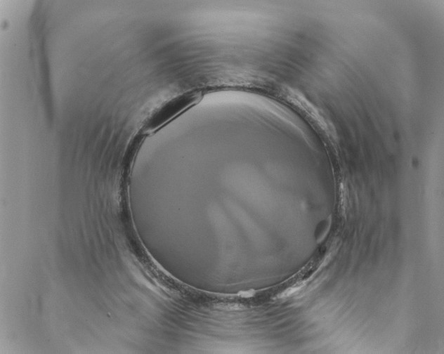 X0000088470203200706121538