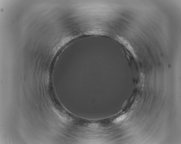 X0000088470204200706121538