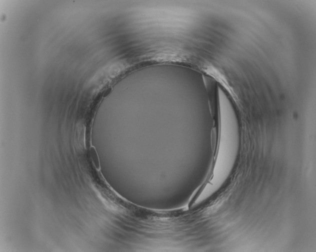 X0000088470205200706121537