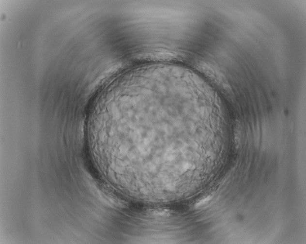 X0000088470206200706121537