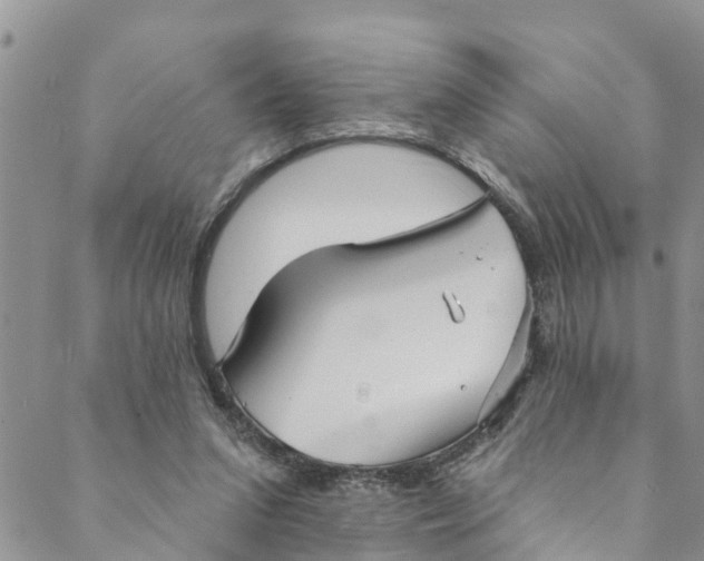 X0000088470207200706121537