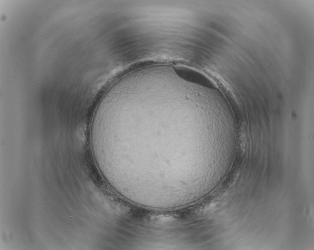 X0000088470208200706121537