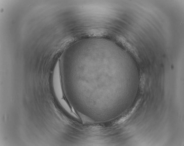 X0000088470209200706121537