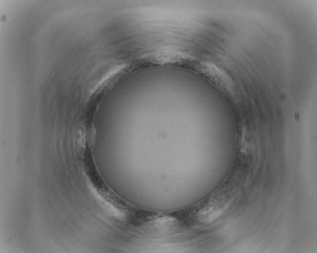 X0000088470210200706121537