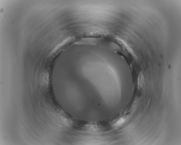 X0000088470211200706121537