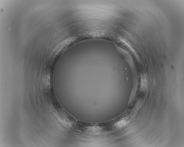 X0000088470212200706121537