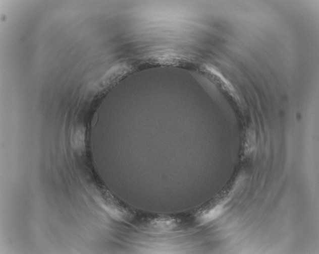 X0000088470213200706121537