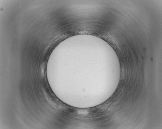 X0000088470214200706121537