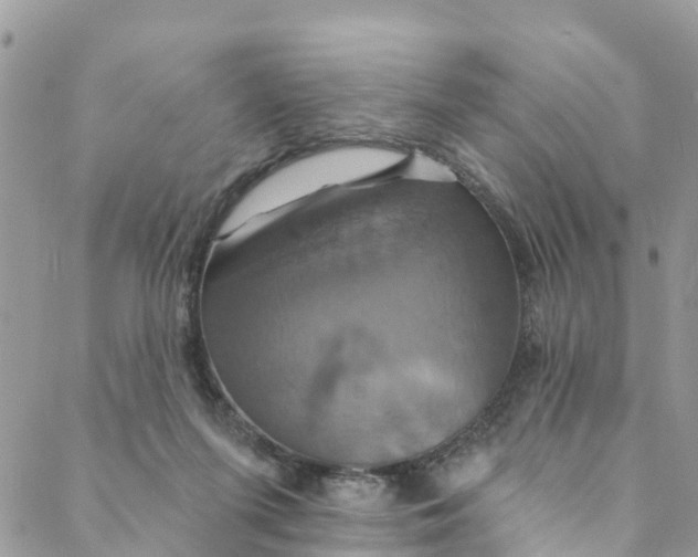 X0000088470215200706121537