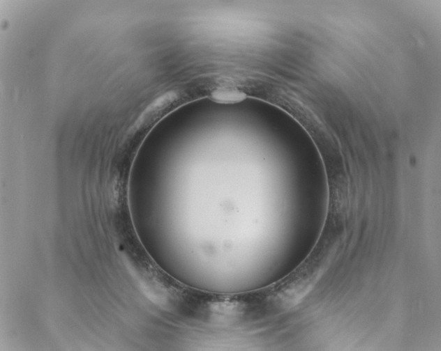 X0000088470216200706121537