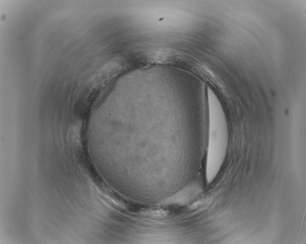 X0000088470217200706121537