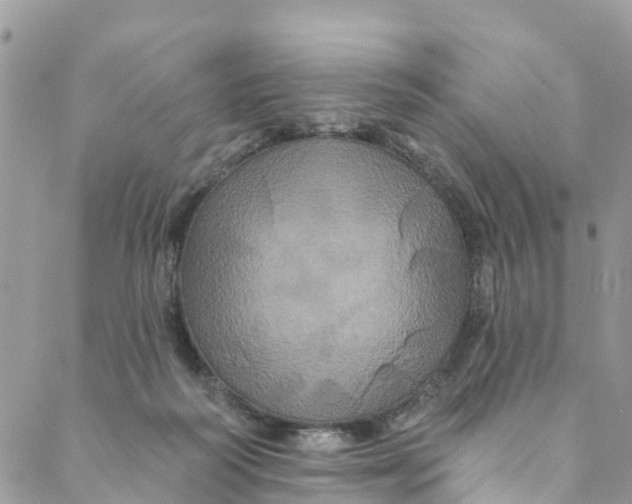 X0000088470218200706121537