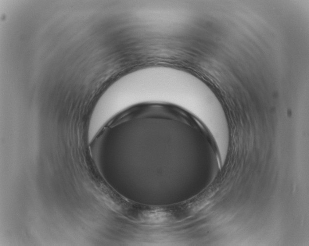 X0000088470219200706121537