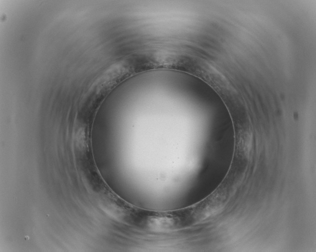 X0000088470220200706121537