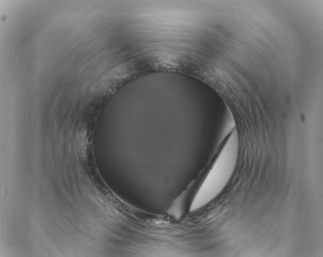 X0000088470223200706121537