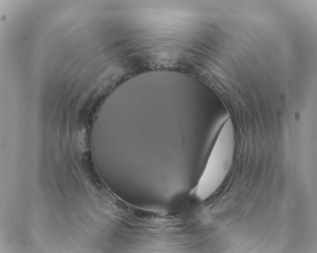 X0000088470224200706121537