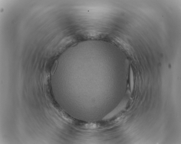 X0000088470225200706121537