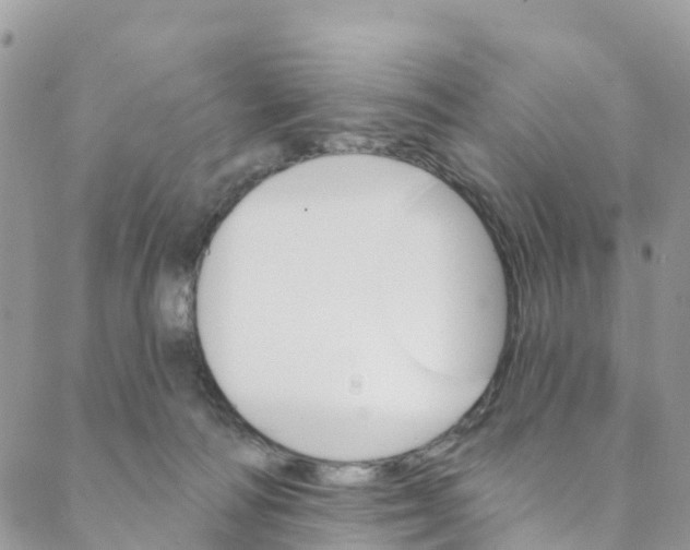 X0000088470226200706121537