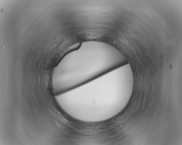 X0000088470227200706121537